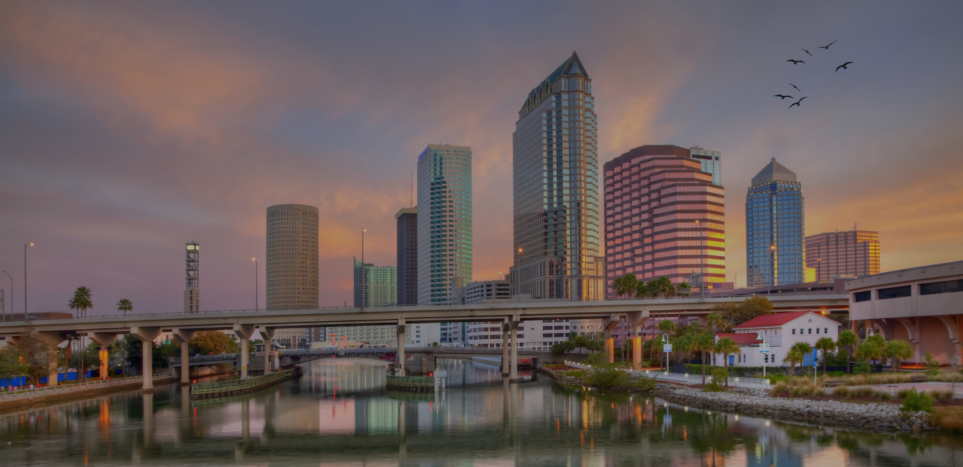 Insurance Agent in Tampa FL Southshore Insurance