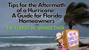 Southshore - oct 2024 - Tips for the Aftermath of a Hurricane: A